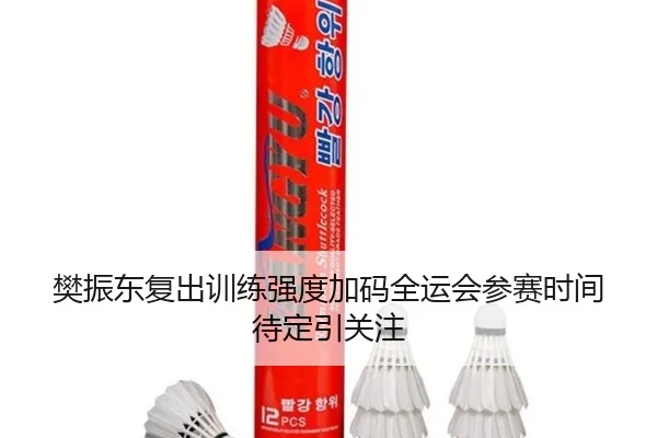 樊振东复出训练强度加码全运会参赛时间待定引关注